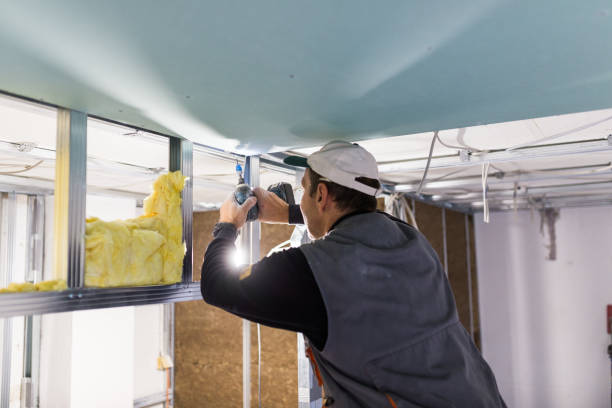 Best Eco-Friendly Insulation in Rockwell Place, TX
