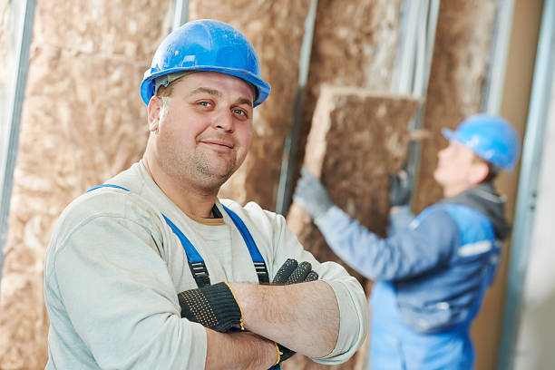 Best Cellulose Insulation in Rockwell Place, TX